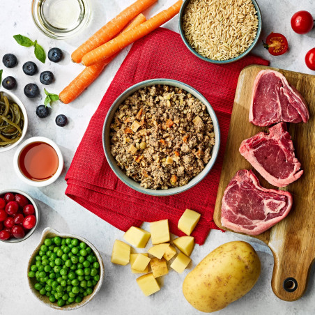 Naturo perro adulto 7 tarrinas cordero&arroz 400g