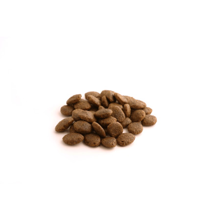 Fish4Dogs Pienso para perro adulto sin cereales – Pescado blanco y patata