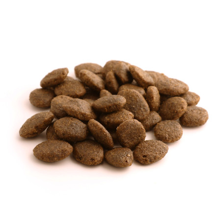 Fish4Dogs Pienso para cachorro sin cereales – Salmón y boniato