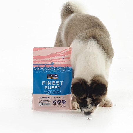 Fish4Dogs Pienso para cachorro sin cereales – Salmón y boniato
