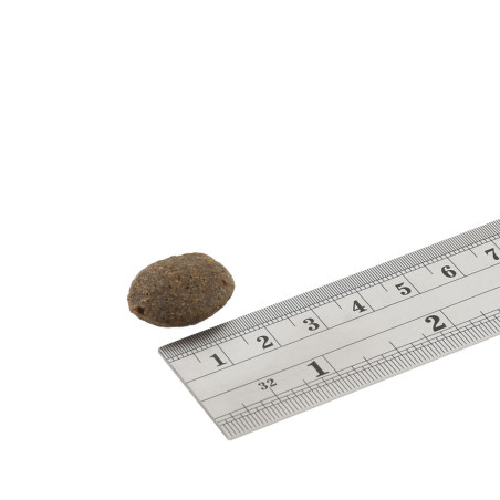 Fish4Dogs Pienso para perro adulto sin cereales – Salmón y patata