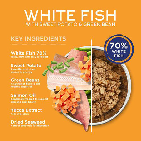 Fish4Dogs Multipack para perro – Pescado blanco y salmón 6 x 395 g