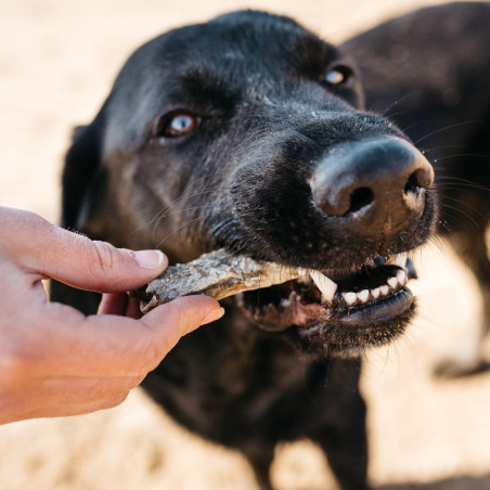 Fish4Dogs Snack dental para perro – Fish Strips