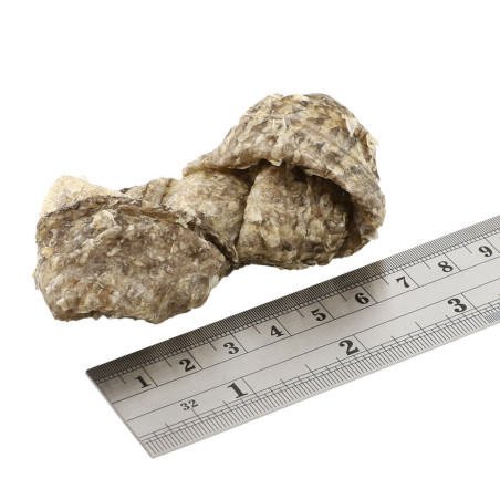 Fish4Dogs Snack dental para perro – Fish Knots 100 g (pack de 10)