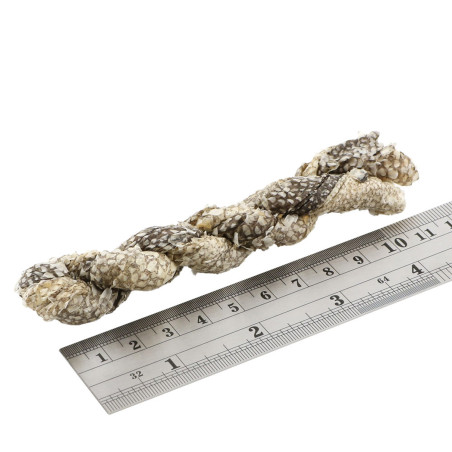 Fish4Dogs Snack dental para perro – Fish Twists