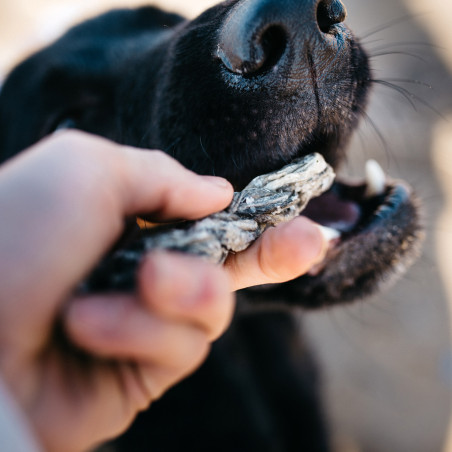 Fish4Dogs Snack dental para perro – Fish Twists