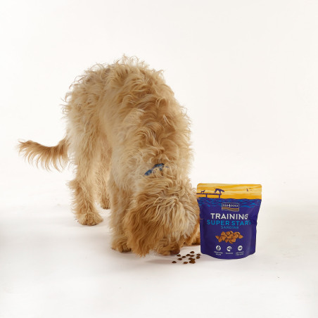 Fish4Dogs Snack de entrenamiento – Superstars Sardina 150 g (pack de 10)