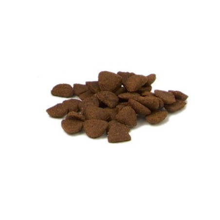 Fish4Dogs Snack de entrenamiento – Superstars Sardina 150 g (pack de 10)