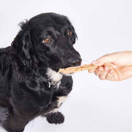 Fish4Dogs Snack para perros – Love Salmón Sticks 85 g (pack de 10)