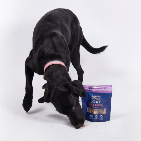 Fish4Dogs Snack para perros – Love Salmón en cubos 85 g (pack de 10)
