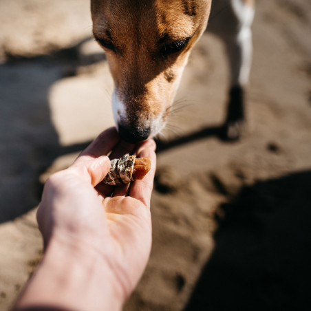 Fish4Dogs Snack natural para perros – Love Boniato con pescado 100 g (pack de 10)