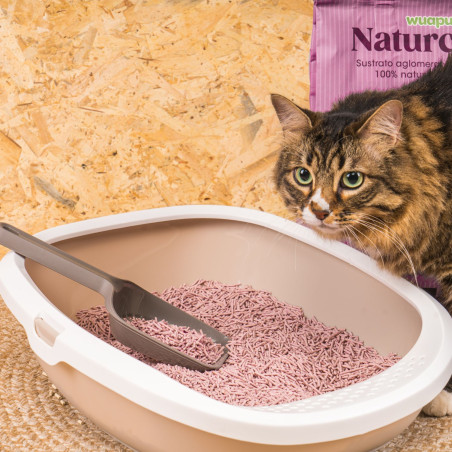 CAJA DE WUAPU NATURCORN LAVANDA