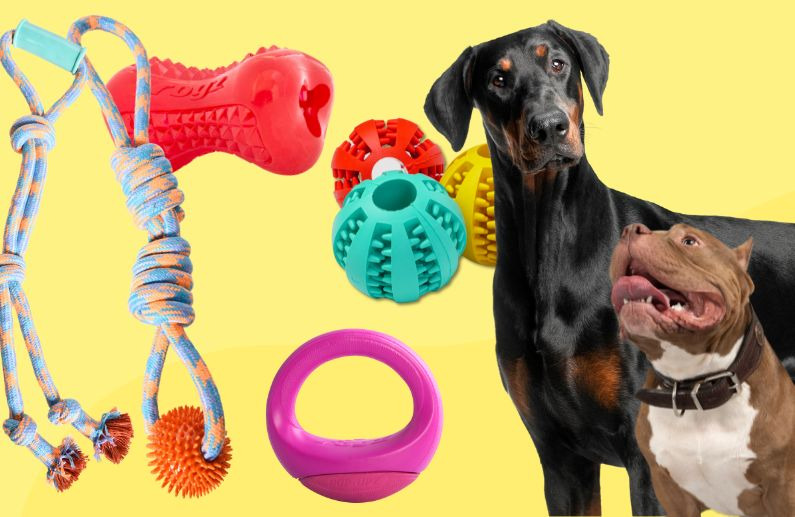 7 Juguetes de Rogz y Wuapu que Harán Feliz a tu Perro Grande
