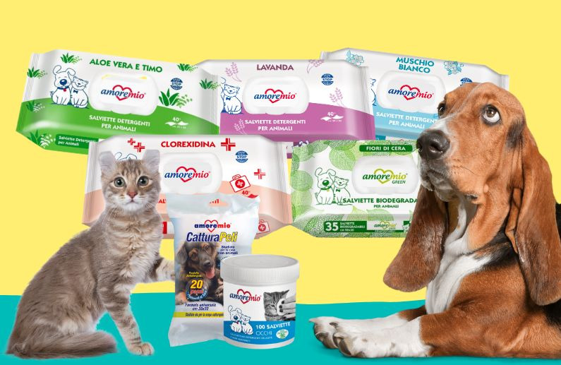 7 Productos de Amore Mio que Facilitan el Cuidado de tu Mascota