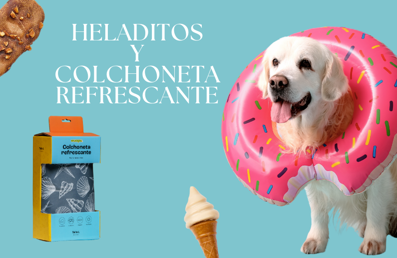 5 motivos para refrescar a tu mascota con Pup Ice y colchonetas Wuapu este verano