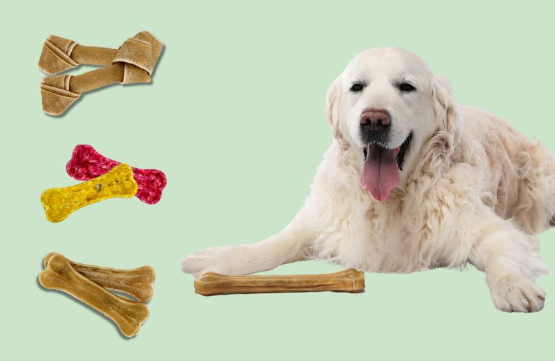 6 Beneficios de los Huesos Nudo, Prensado y de Colores de Wuapu para tu Perro