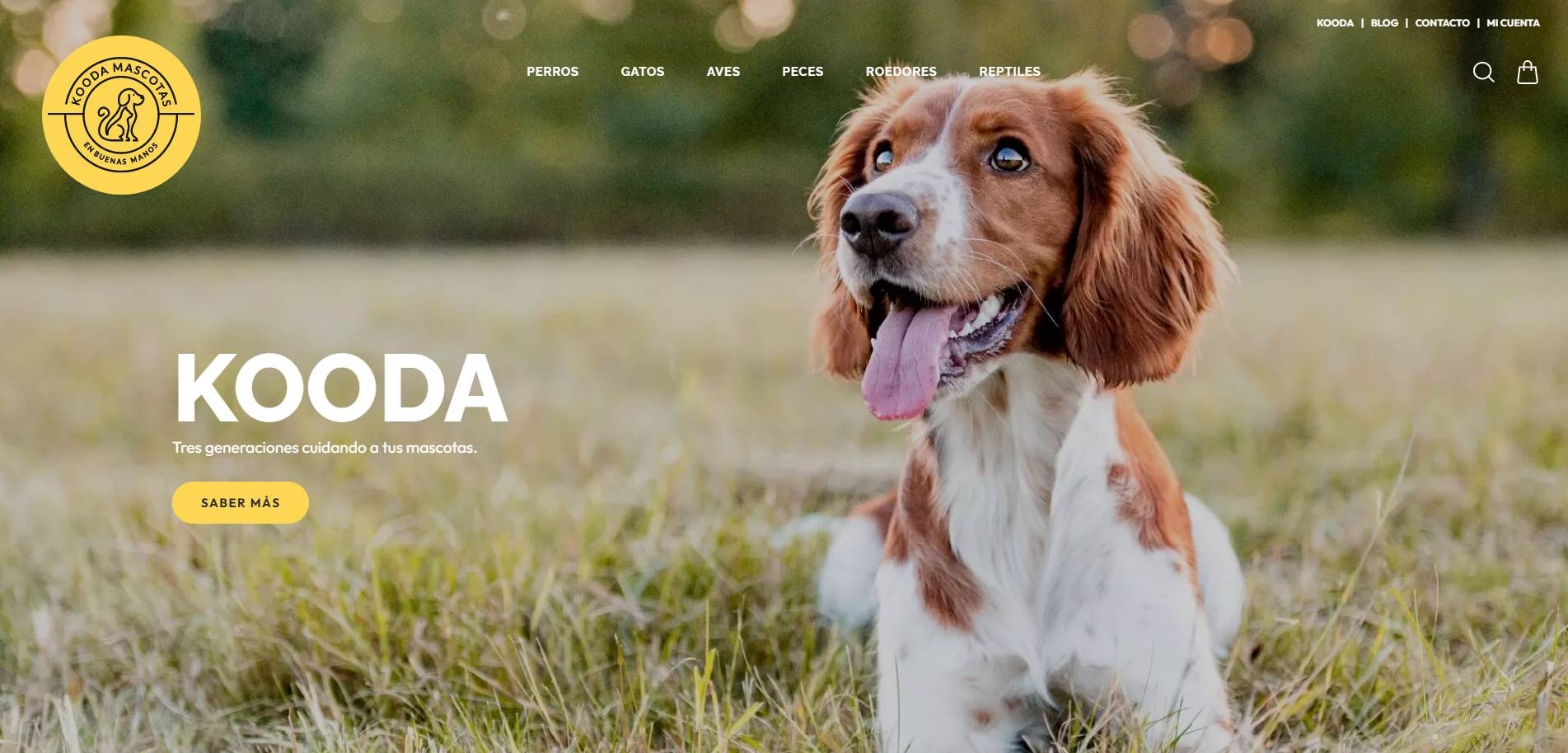 ¡Estrenamos nueva web!
